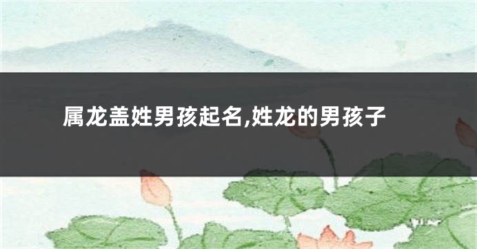 属龙盖姓男孩起名,姓龙的男孩子