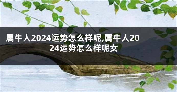 属牛人2024运势怎么样呢,属牛人2024运势怎么样呢女