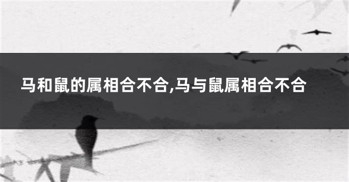 马和鼠的属相合不合,马与鼠属相合不合