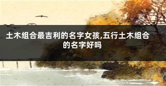 土木组合最吉利的名字女孩,五行土木组合的名字好吗