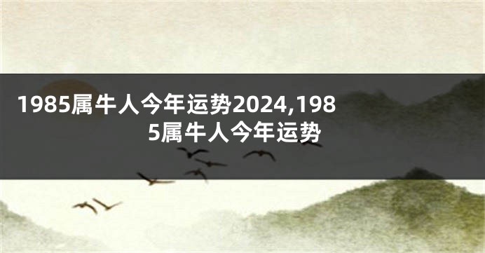 1985属牛人今年运势2024,1985属牛人今年运势