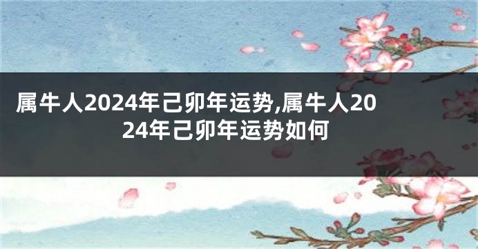属牛人2024年己卯年运势,属牛人2024年己卯年运势如何