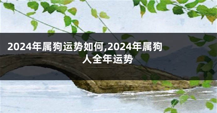 2024年属狗运势如何,2024年属狗人全年运势