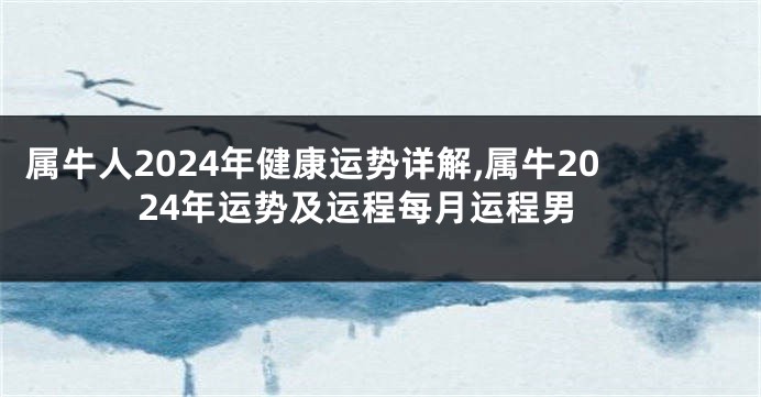 属牛人2024年健康运势详解,属牛2024年运势及运程每月运程男