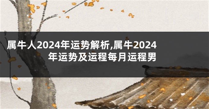 属牛人2024年运势解析,属牛2024年运势及运程每月运程男