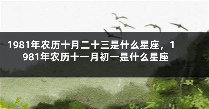 1981年农历十月二十三是什么星座，1981年农历十一月初一是什么星座