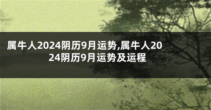 属牛人2024阴历9月运势,属牛人2024阴历9月运势及运程