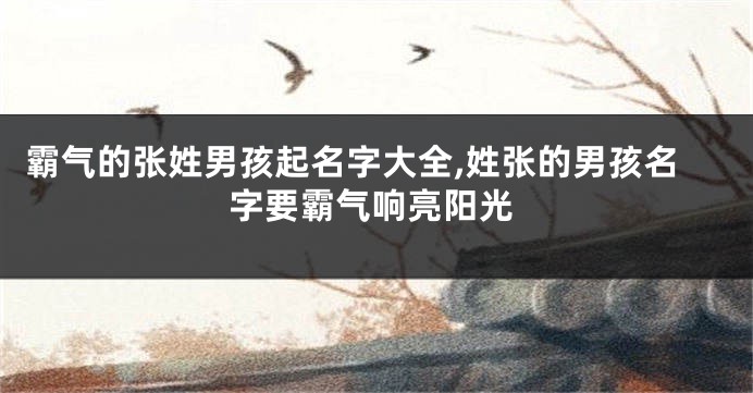 霸气的张姓男孩起名字大全,姓张的男孩名字要霸气响亮阳光