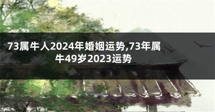 73属牛人2024年婚姻运势,73年属牛49岁2023运势
