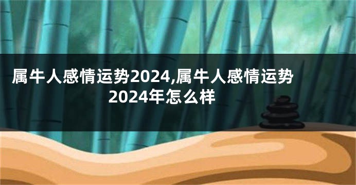 属牛人感情运势2024,属牛人感情运势2024年怎么样