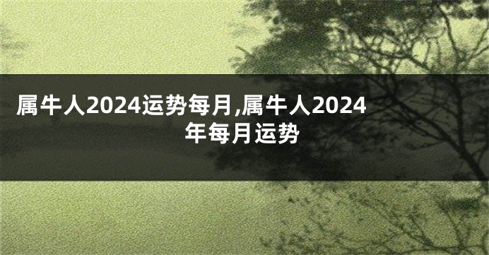 属牛人2024运势每月,属牛人2024年每月运势