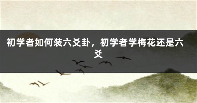 初学者如何装六爻卦,初学者学梅花还是六爻