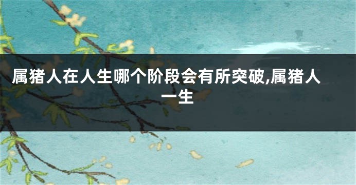 属猪人在人生哪个阶段会有所突破,属猪人一生