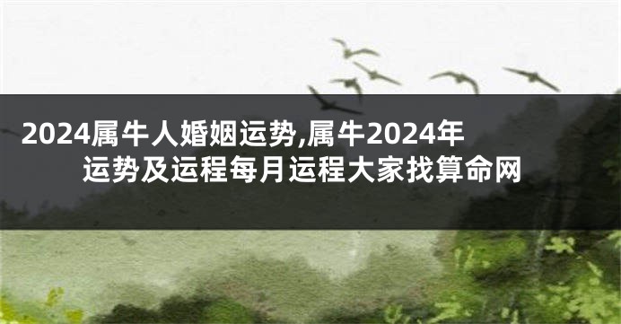 2024属牛人婚姻运势,属牛2024年运势及运程每月运程大家找算命网