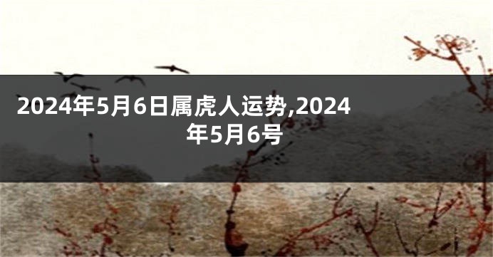 2024年5月6日属虎人运势,2024年5月6号