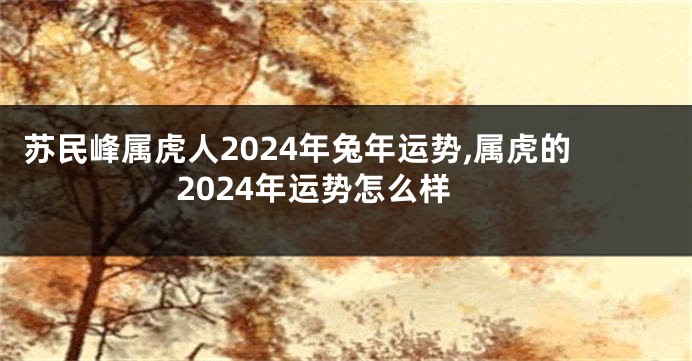 苏民峰属虎人2024年兔年运势,属虎的2024年运势怎么样
