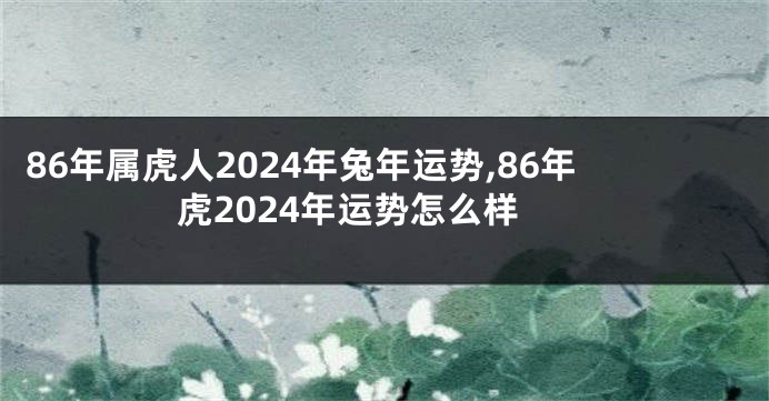 86年属虎人2024年兔年运势,86年虎2024年运势怎么样