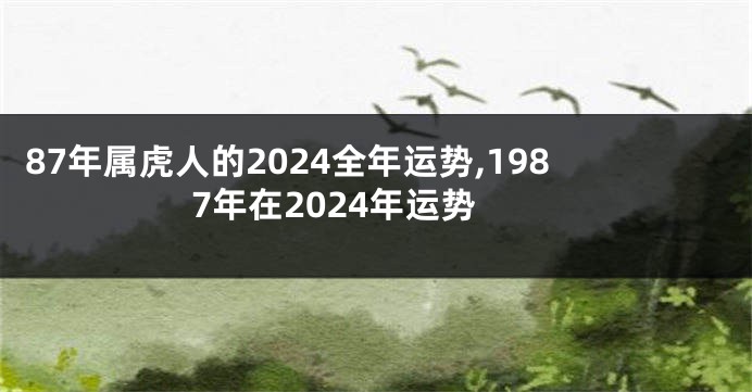87年属虎人的2024全年运势,1987年在2024年运势