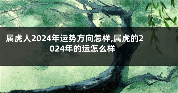 属虎人2024年运势方向怎样,属虎的2024年的运怎么样