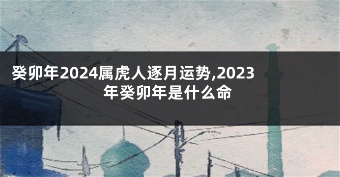 癸卯年2024属虎人逐月运势,2023年癸卯年是什么命