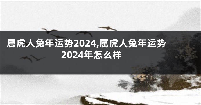 属虎人兔年运势2024,属虎人兔年运势2024年怎么样