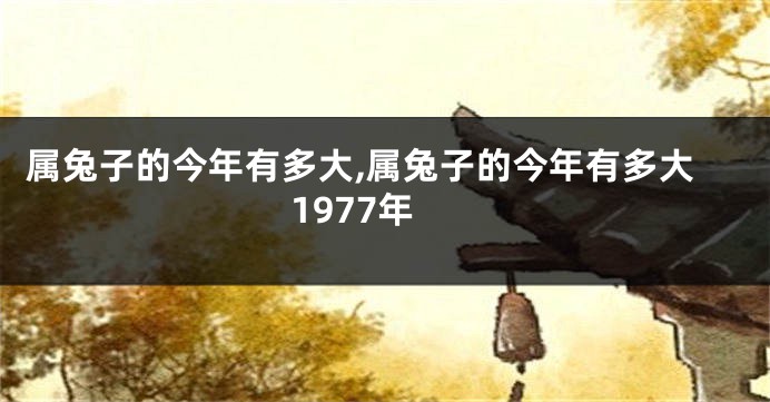 属兔子的今年有多大,属兔子的今年有多大1977年