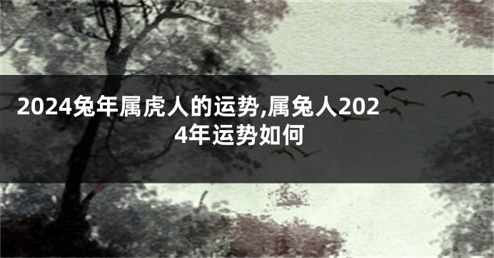 2024兔年属虎人的运势,属兔人2024年运势如何