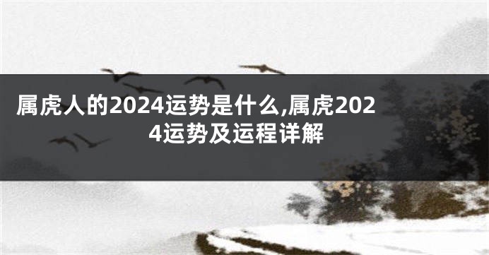 属虎人的2024运势是什么,属虎2024运势及运程详解