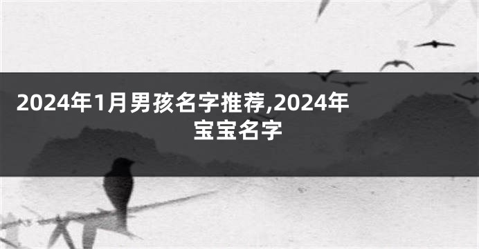 2024年1月男孩名字推荐,2024年宝宝名字