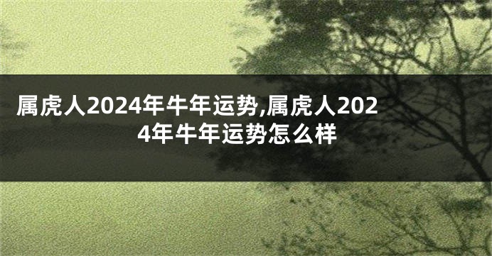 属虎人2024年牛年运势,属虎人2024年牛年运势怎么样