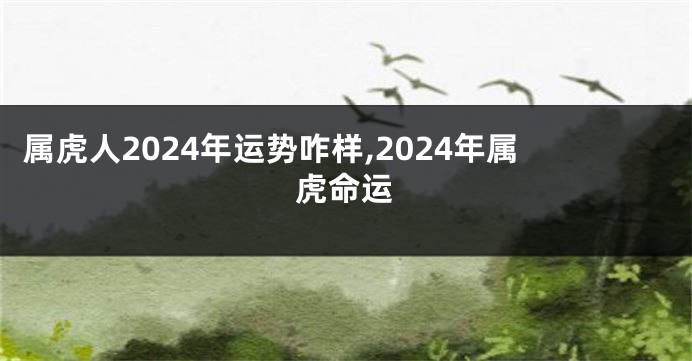 属虎人2024年运势咋样,2024年属虎命运