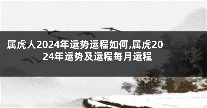 属虎人2024年运势运程如何,属虎2024年运势及运程每月运程