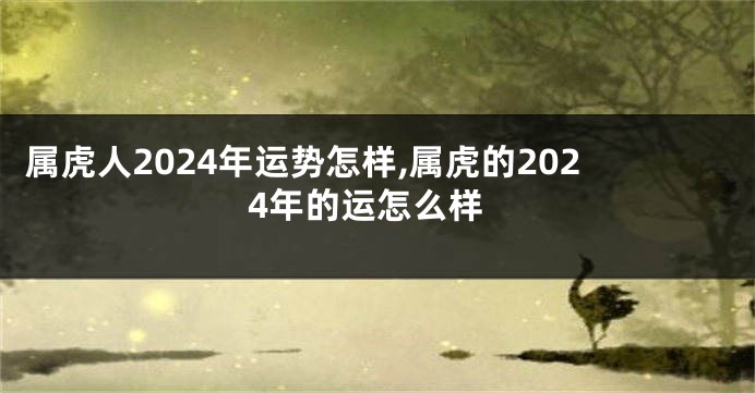 属虎人2024年运势怎样,属虎的2024年的运怎么样