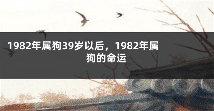 1982年属狗39岁以后，1982年属狗的命运