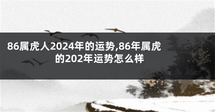 86属虎人2024年的运势,86年属虎的202年运势怎么样