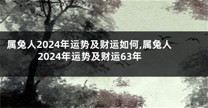 属兔人2024年运势及财运如何,属兔人2024年运势及财运63年