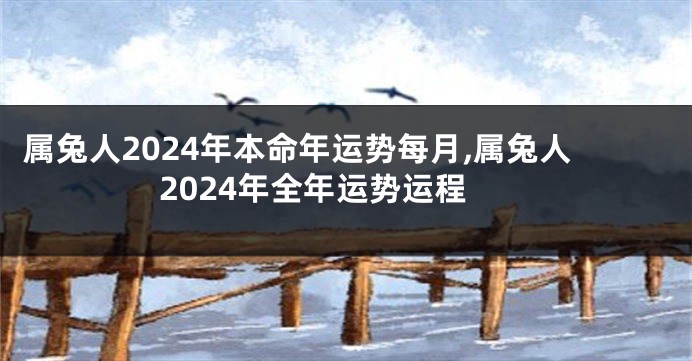 属兔人2024年本命年运势每月,属兔人2024年全年运势运程