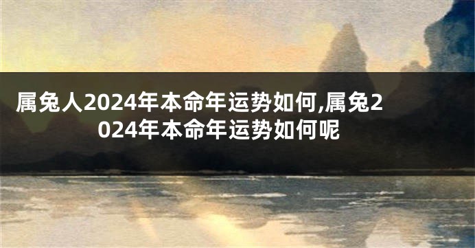 属兔人2024年本命年运势如何,属兔2024年本命年运势如何呢