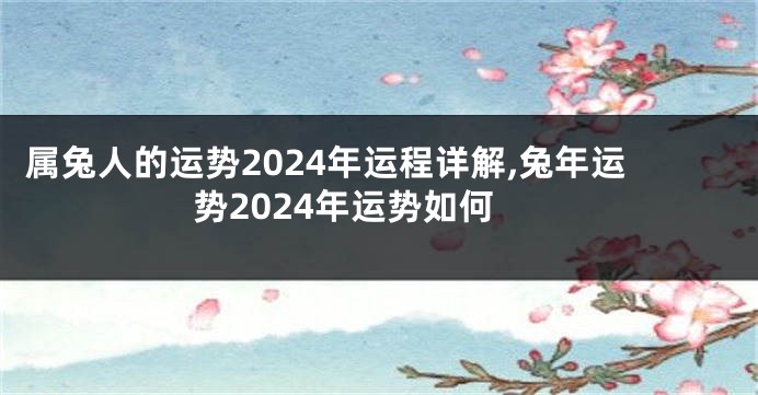属兔人的运势2024年运程详解,兔年运势2024年运势如何