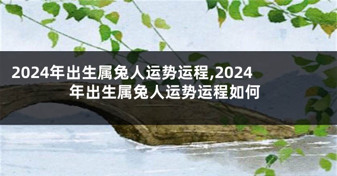 2024年出生属兔人运势运程,2024年出生属兔人运势运程如何