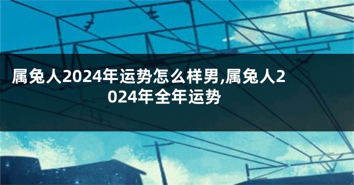 属兔人2024年运势怎么样男,属兔人2024年全年运势