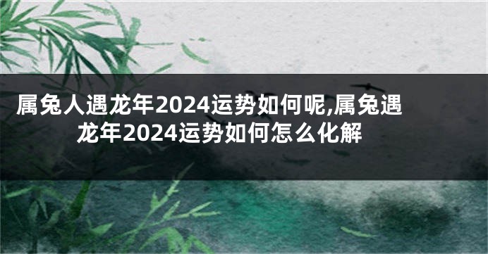属兔人遇龙年2024运势如何呢,属兔遇龙年2024运势如何怎么化解