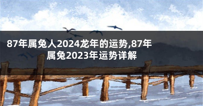 87年属兔人2024龙年的运势,87年属兔2023年运势详解
