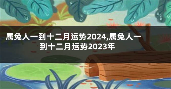 属兔人一到十二月运势2024,属兔人一到十二月运势2023年