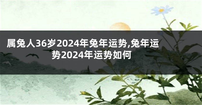 属兔人36岁2024年兔年运势,兔年运势2024年运势如何
