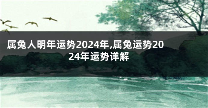 属兔人明年运势2024年,属兔运势2024年运势详解
