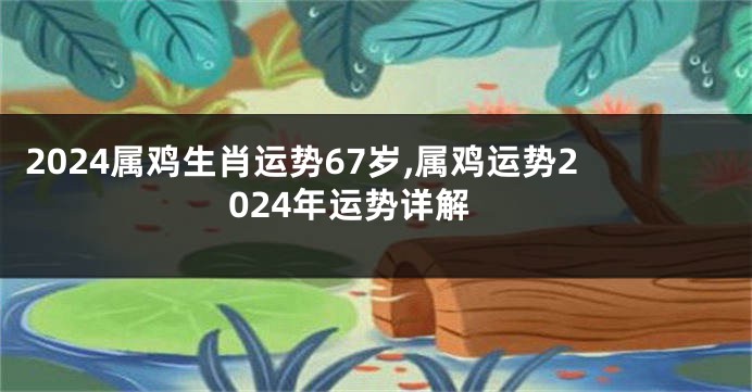 2024属鸡生肖运势67岁,属鸡运势2024年运势详解