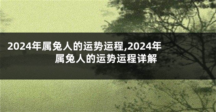 2024年属兔人的运势运程,2024年属兔人的运势运程详解