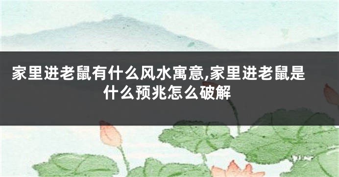 家里进老鼠有什么风水寓意,家里进老鼠是什么预兆怎么破解