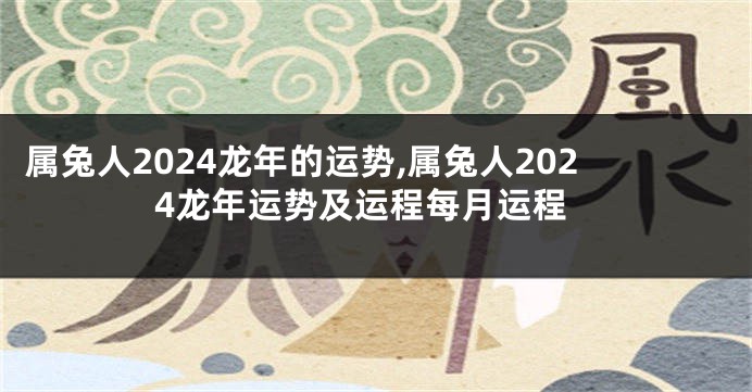 属兔人2024龙年的运势,属兔人2024龙年运势及运程每月运程